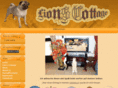 lionscottage.com