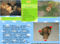 razorcreekminiaturedachshund.com