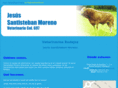 veterinariodebovino.com