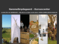 brydegaard.com