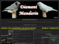 le-diamant-mandarin.com