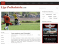 ligapodhalanska.com