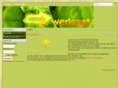 ibwerk.net