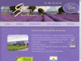 vdsalm.com