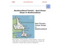 newfoundland-florists.com
