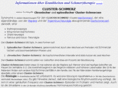 cluster-schmerz.de