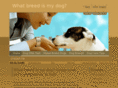 dog-breed-test.com