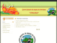 baloico.com