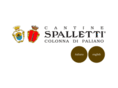 spalletticolonnadipaliano.com
