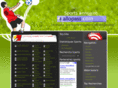 annu-sports.com