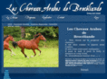 chevauxarabes-broceliande.com