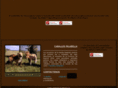 caballosfalabella.com