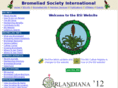 bsi.org