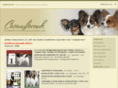 papillon-toydog.com