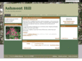 ashmonthill.org