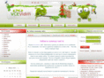 vcevidim.com