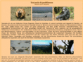reisen-tanzania.de