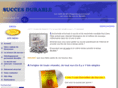 succes-durable.com