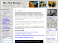 hudmoldremoval.com