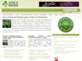 noticiasdaamazonia.com.br