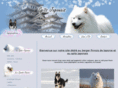 spitz-japonais.com