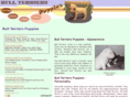 bull-terriers-puppies.com