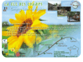 camping-lucon.com