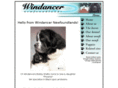 windancernewfoundlands.com