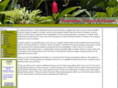 a-tropical-flower.com