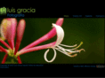 luisgracia.es