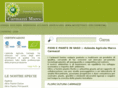 fioriepianteinvaso.it