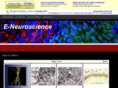 neuralgallery.com