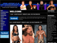 northeastwrestling.com