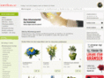 blommogram.biz