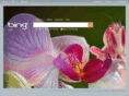 bing.no