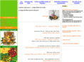 123fruits.com