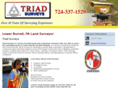 triadsurveys.net