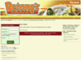 betongs.com