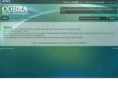 cobra-magic.com