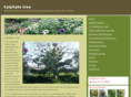 epiphytetree.com