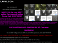 lavhi.com