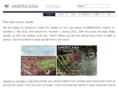 americanaejournal.hu