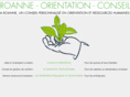 roanne-orientation-conseil.com