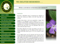 wedelivermemories.net