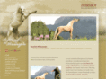 miniaturehorse.at