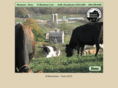 manchester-farms.com