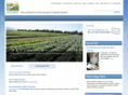 westernsare.org