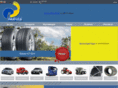 raychev-tyres.com