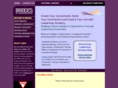 bridges-in-orgs.com