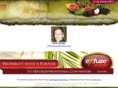 exfuzesev.com